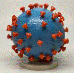 Coronavirus e scuole